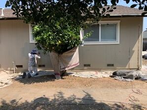 House Painting in Santa Rosa, CA (4)